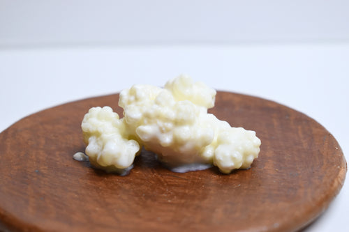 15 GR. Búlgaros de Leche