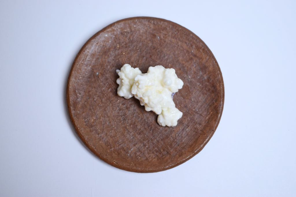 15 GR. Búlgaros de Leche